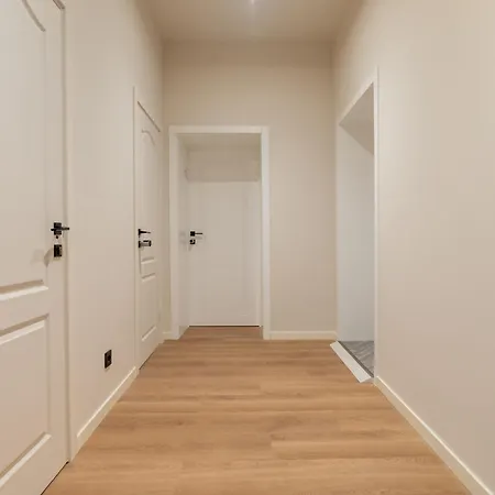 Dandelion Dzirnavu Near The Park *