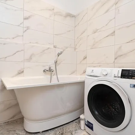 Dandelion Dzirnavu Near The Park * Riga