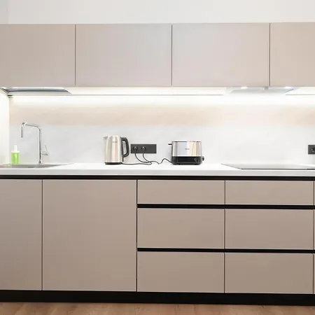 Dandelion Dzirnavu Apartament