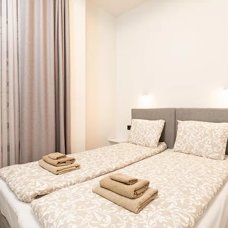 Dandelion Dzirnavu Near The Park