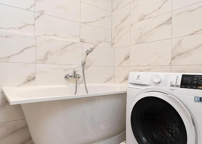 Dandelion Dzirnavu Near The Park * Riga