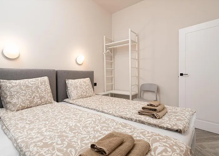 Dandelion Dzirnavu Near The Park